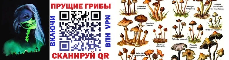 Псилоцибиновые грибы ЛСД  блэк спрут онион  Кольчугино  купить наркотики цена 