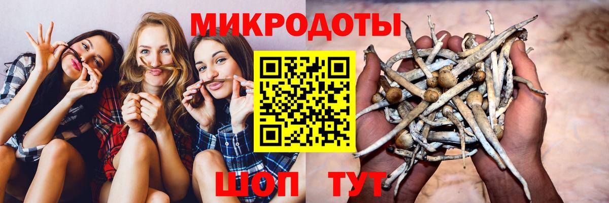 Псилоцибиновые грибы ЛСД  Вход с VPN  где продают наркотики  Кольчугино  Псилоцибиновые грибы Cubensis 