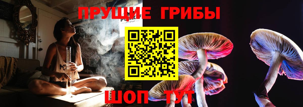 Меф  Кольчугино  Лсд 25  Вход с VPN  Конопля  Канабис  Codein  COCAIN  Круглые  Alpha PVP  Гарик 